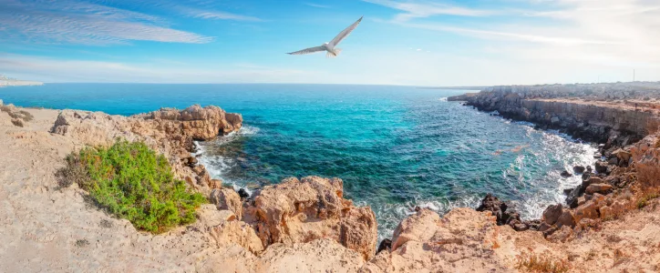 navette vers ports et plage depuis la ville de Grasse photo des calanques